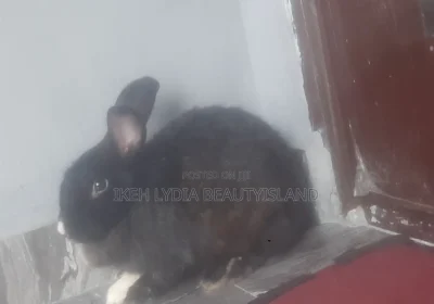 157919990_MTUwMC0xMTI1LWE4OGQzNTFlNmQ