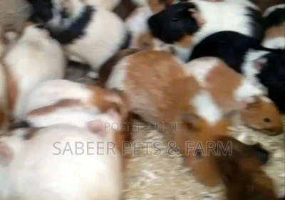 168491488_MTIzOS0xNjAwLTM5MWEwMGIwZWI