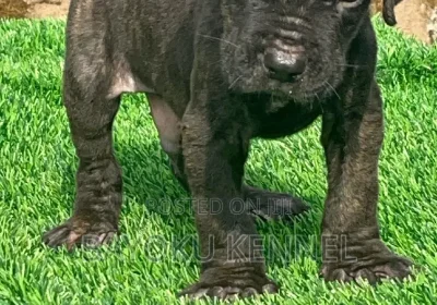 170471291_ODQzLTE1MDAtYjJiN2JjMTI1Yw