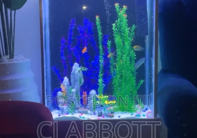 172892441_MTI4NC0yNzc4LTc4MjExMTIyZmQ