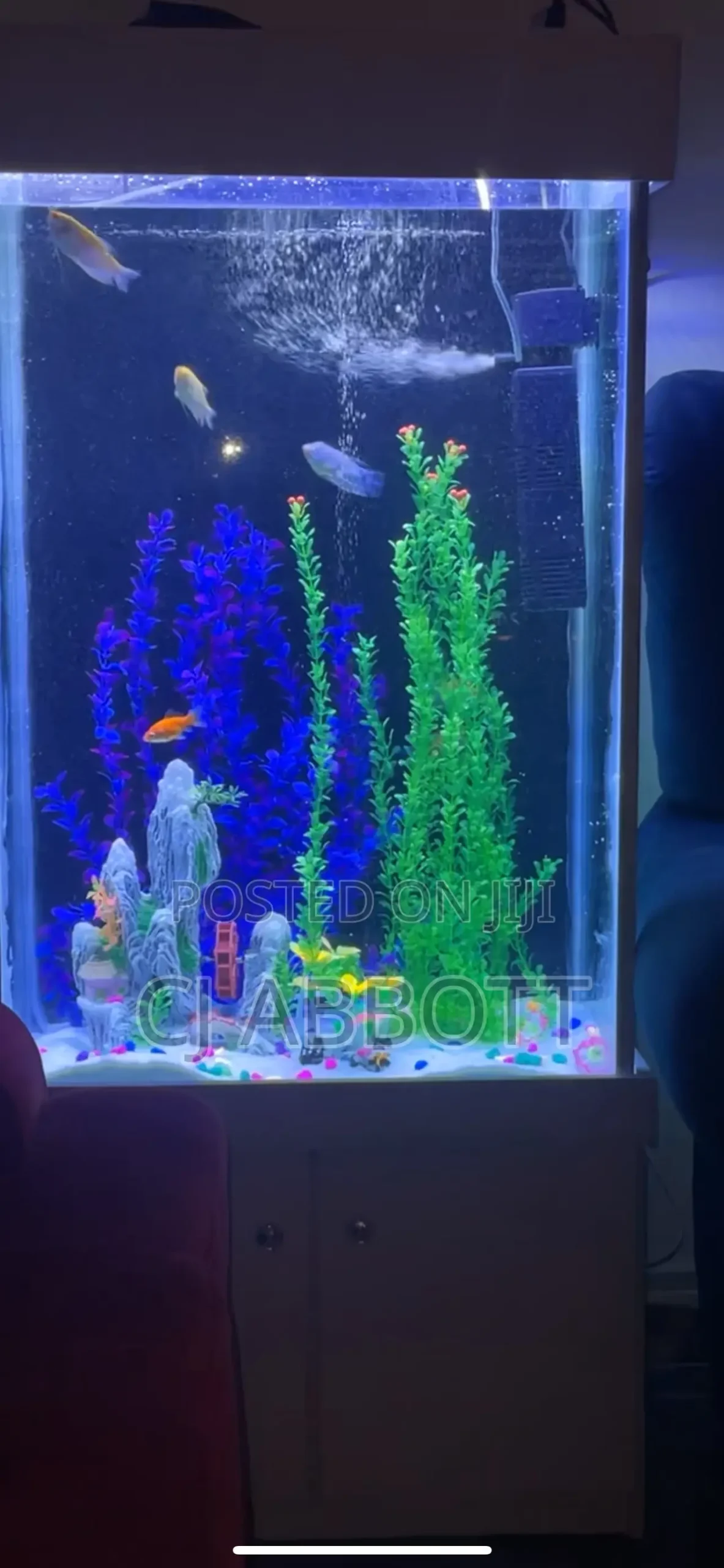 Aquarium Fish Tank