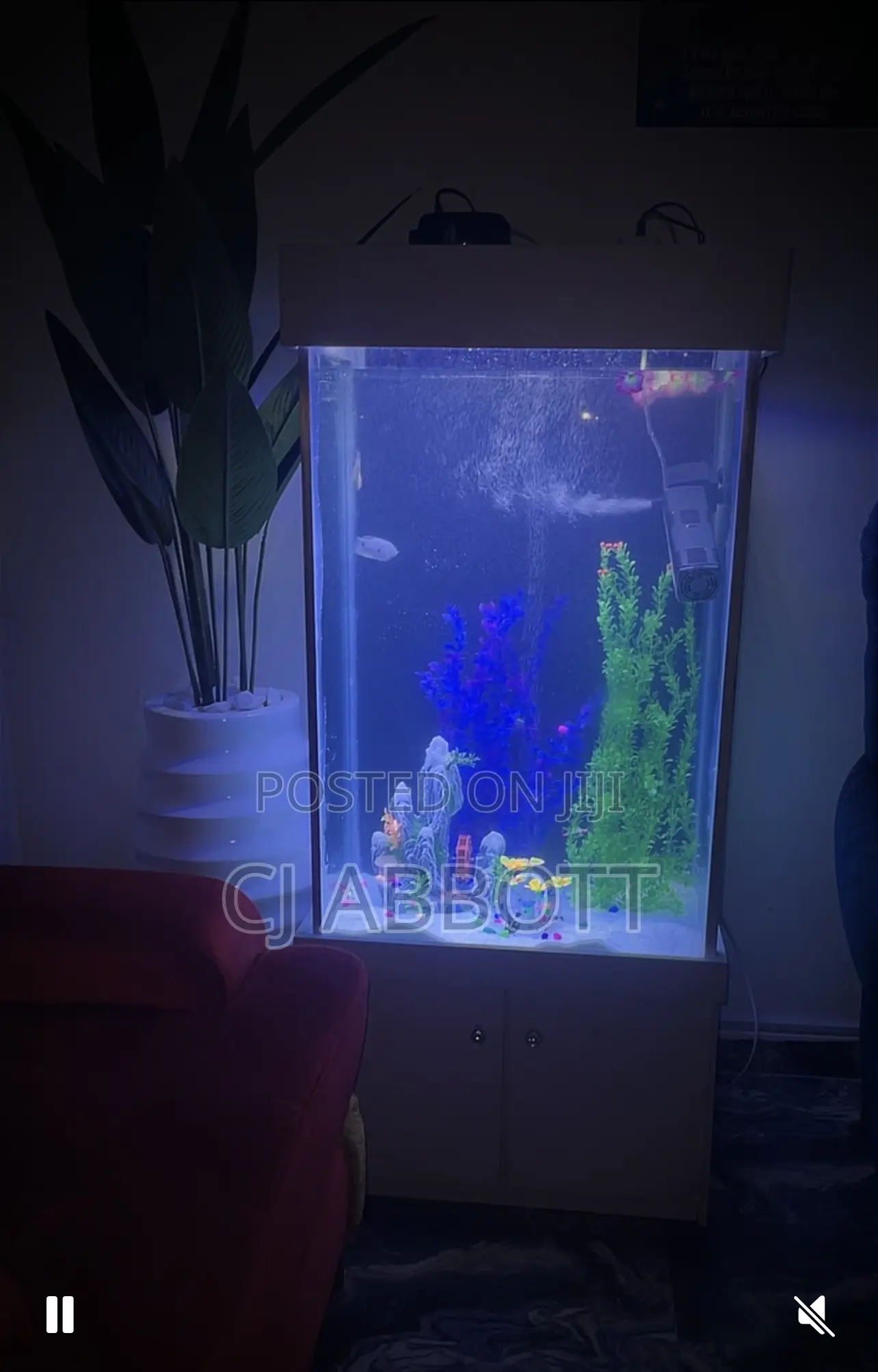 Aquarium Fish Tank