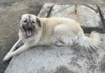 173596200_MTYwMC0xMjAwLTdjY2RmNjkzOTE