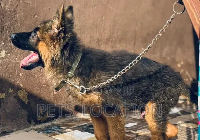 173788722_ODEwLTEwODAtOTYzMjg1NGYxMg