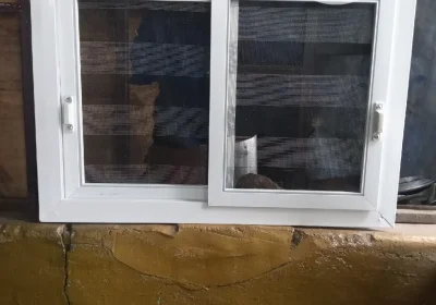 46395646_img-20200611-165440-158_1125x1500