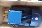 Three Phase Electric Motor