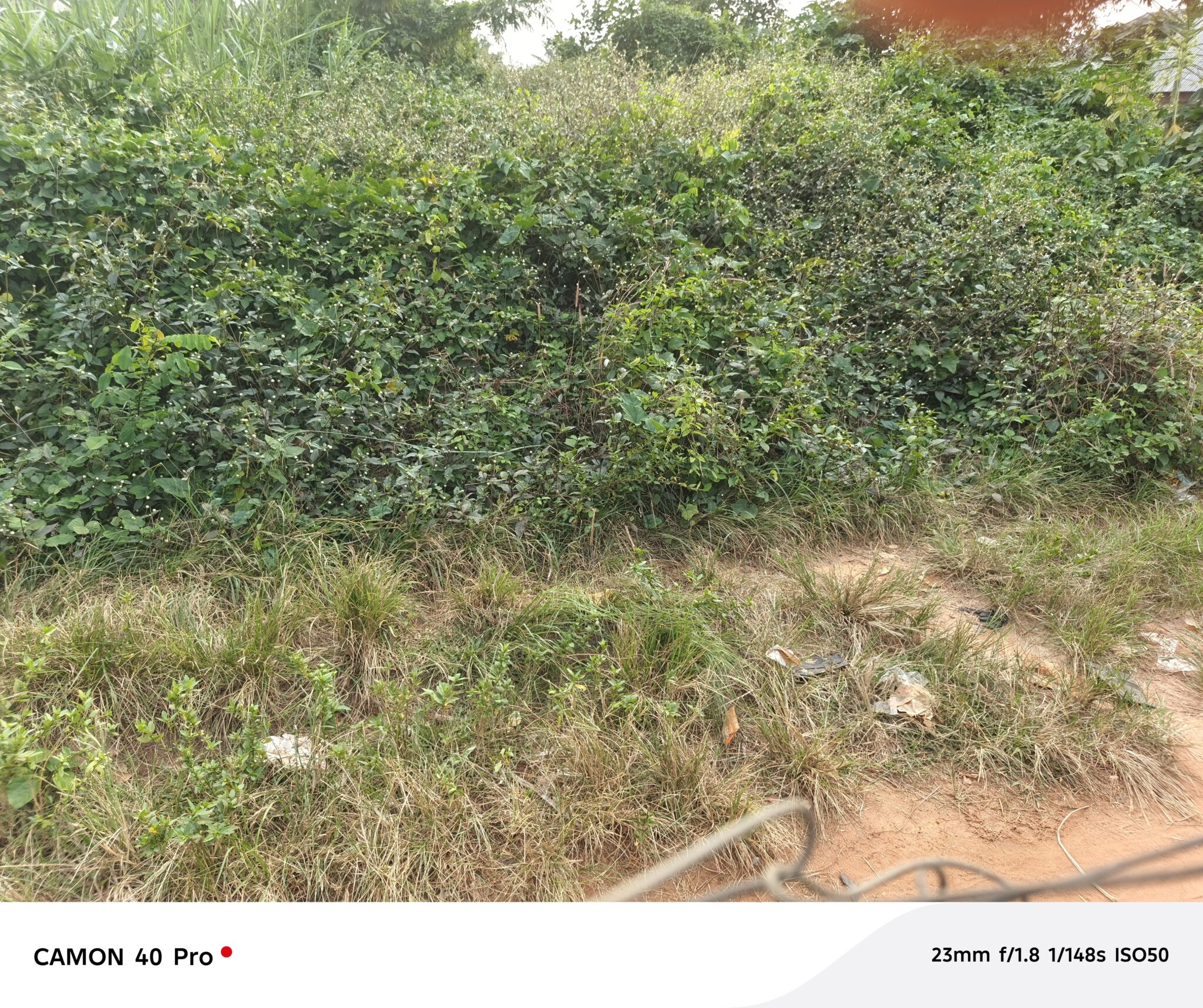 5000 ACRES OF FARMLAND FOR SALE